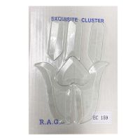 Cliquer pour agrandir