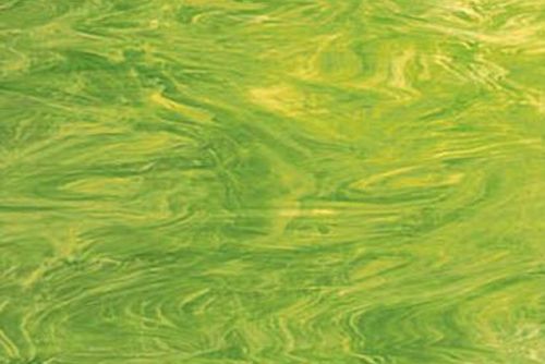 SF82671- 96 Lime Green/White