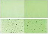 Cliquer pour agrandir