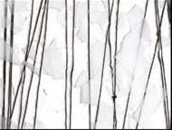 BU4118FH-Black Streamer/White Fracture on Clear 10"x11.5" 