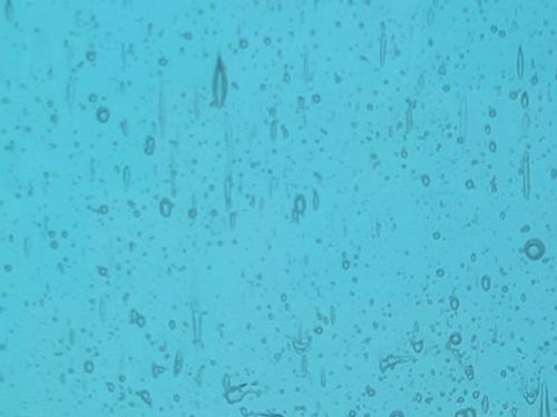 W1204-Seedy Sky Blue 300S